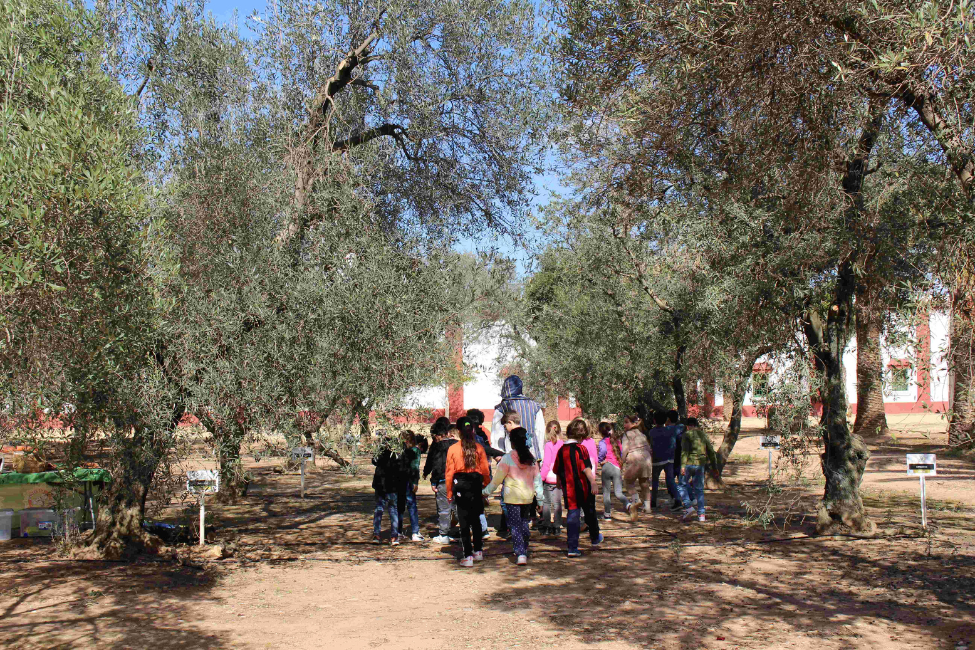 Fundación JR Guillén